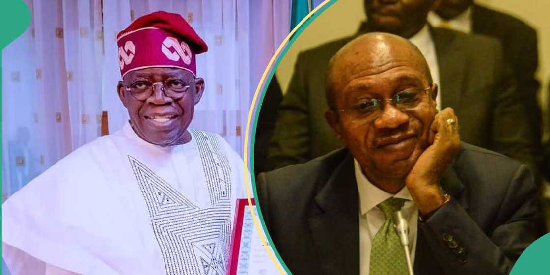 CBN governor, BolaTinubu CBN governor, BolaTinubu