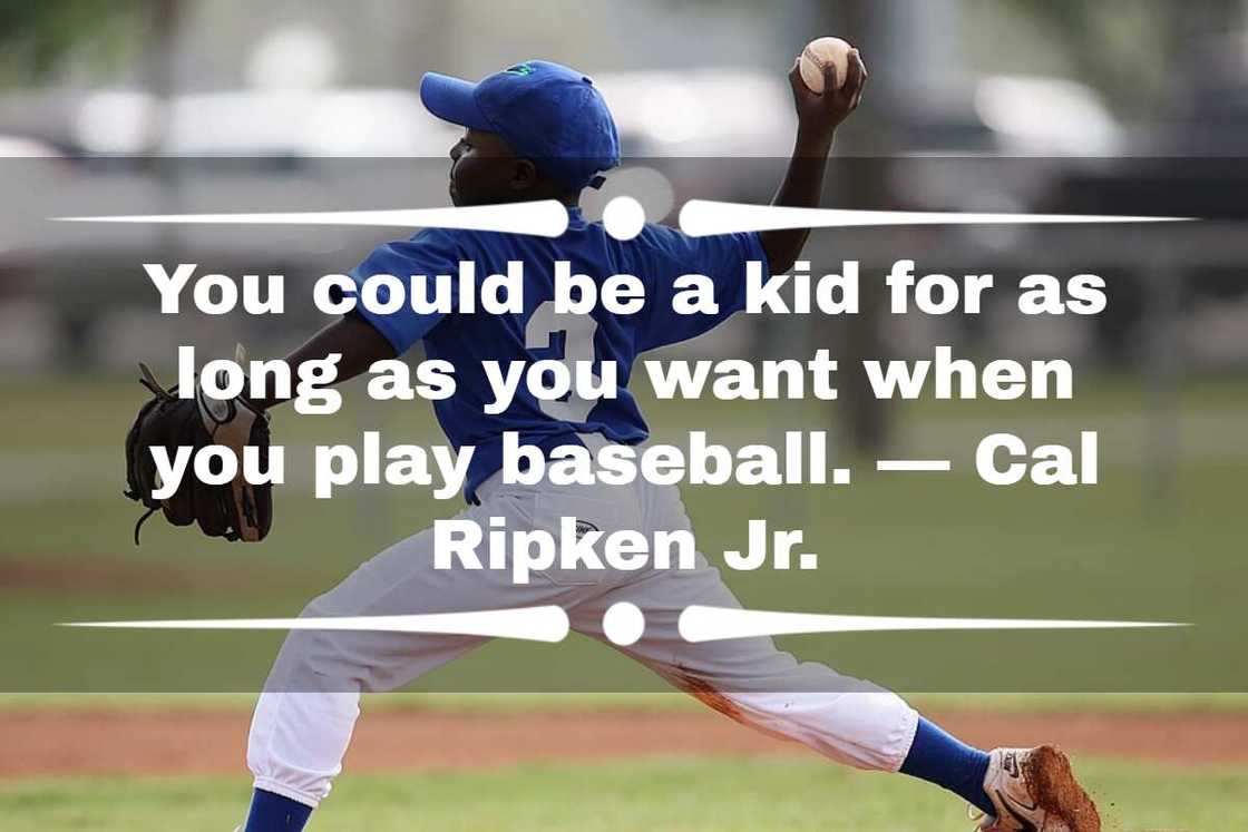 Baseball Education Quotes Baseball Quotes BrainyQuote