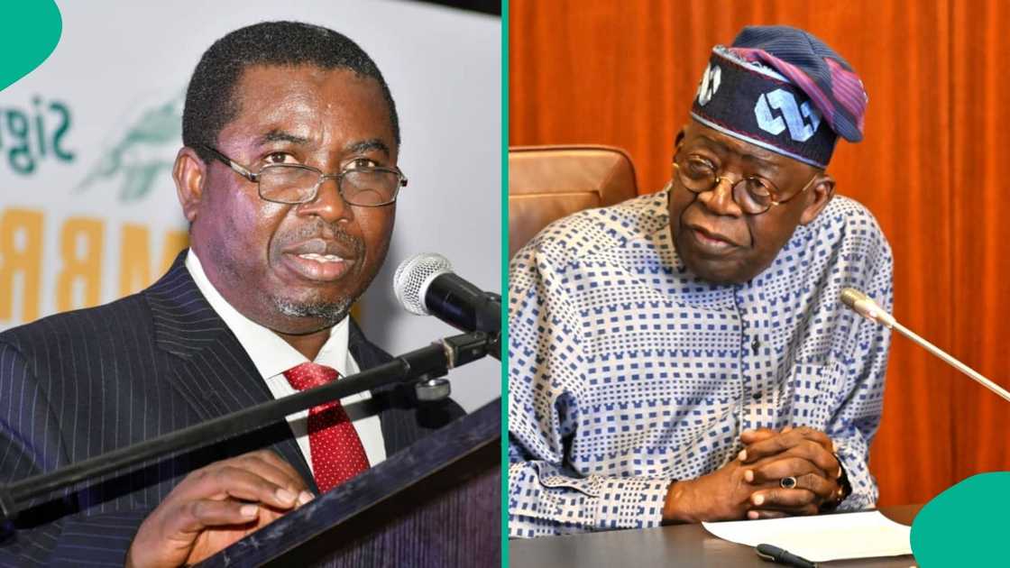 Fresh Trouble For Tinubu as Demands Over His School Certificates Resurface Ahead of 2027 Fresh Trouble For Tinubu as Demands Over His School Certificates Resurface Ahead of 2027