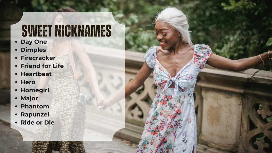 funny nicknames for friends funny nicknames for friends