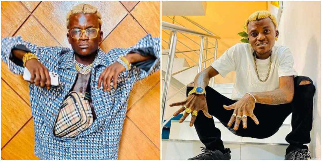 Portable takes industry by storm Portable takes industry by storm