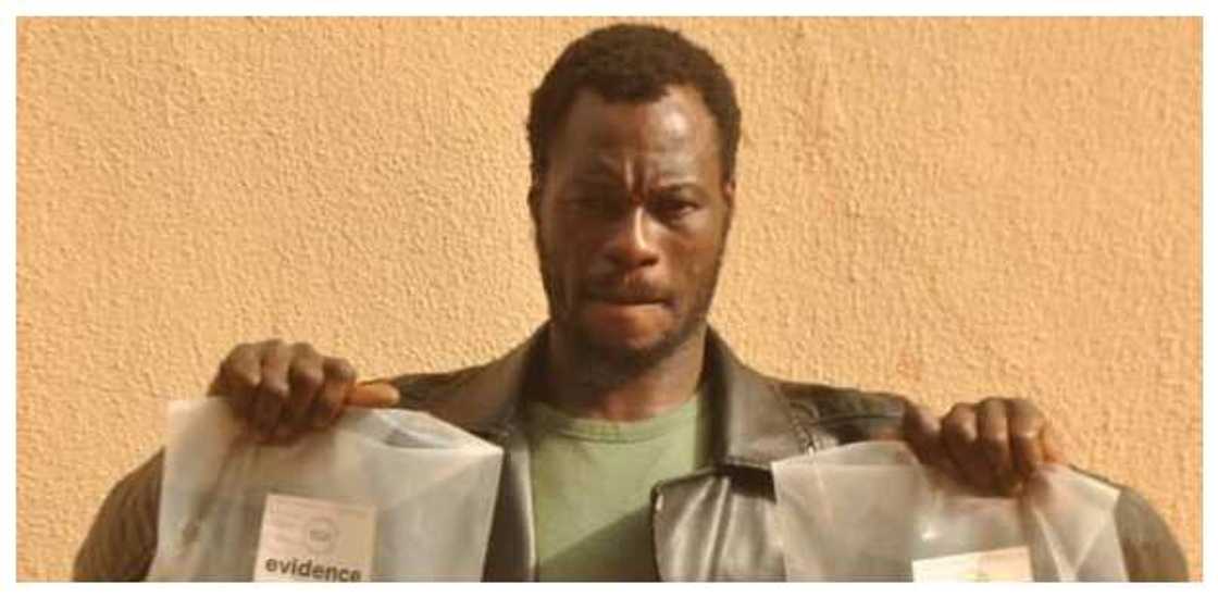 NDLEA records ground-breaking feat, nabs transborder trafficker with N1bn worth of hard substance in Sokoto