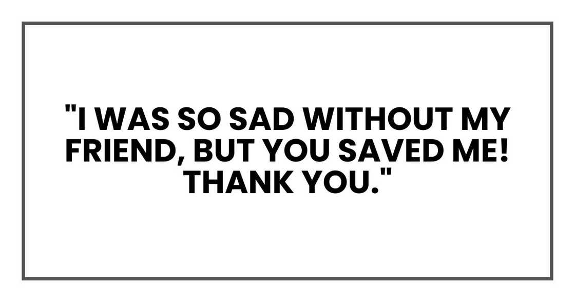 "I was so sad without my friend, but you saved me! Thank you." "I was so sad without my friend, but you saved me! Thank you."