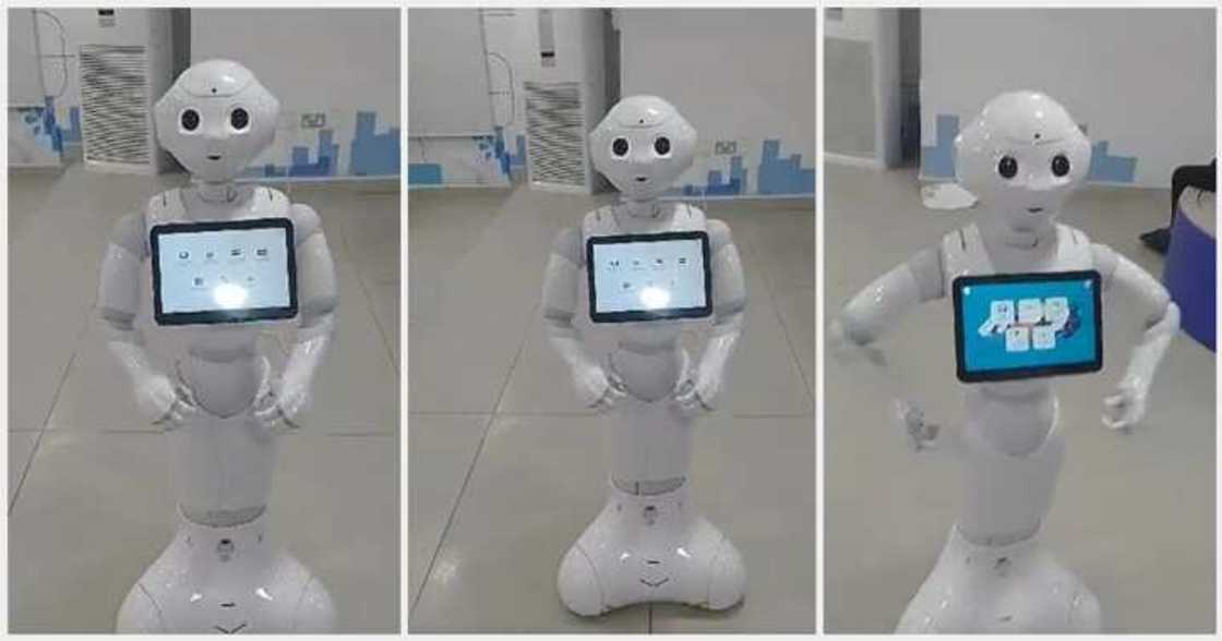First Bank, Robots, Adedutan First Bank, Robots, Adedutan