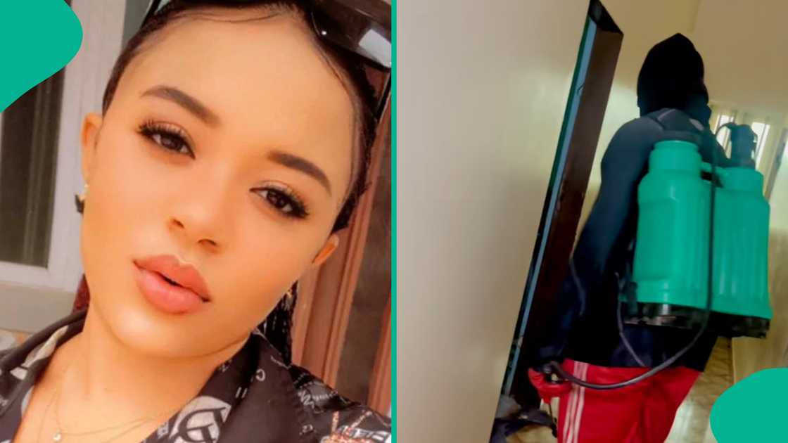 Lady shares video of the five snakes discovered inside her house.