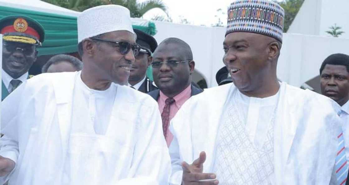 Buhari Ya Ci Amanar Saraki Bayan Ya Lashe Zaɓe, in Ji Kawu Baraje Buhari Ya Ci Amanar Saraki Bayan Ya Lashe Zaɓe, in Ji Kawu Baraje