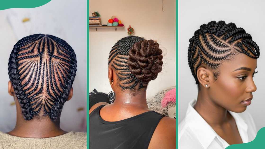 Didi cornrows for adults