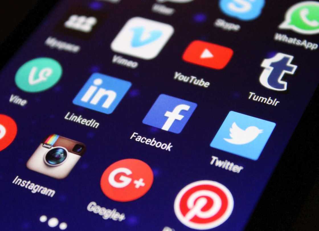 the role of social media in Nigerian politics the role of social media in Nigerian politics