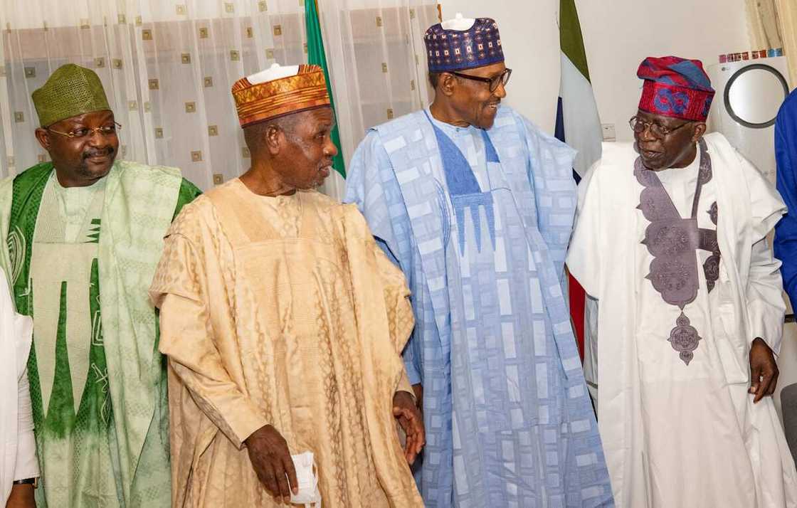 APC governors, President Muhammadu Buhari, 2023 elections, Bola Tinubu, Bello Masari, Katsina state APC governors, President Muhammadu Buhari, 2023 elections, Bola Tinubu, Bello Masari, Katsina state