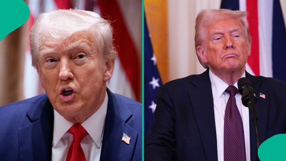 President Trump suggested that Joe Biden or his son, Hunter Biden, might have left behind the infamous bag of cocaine discovered at the White House in 2023. President Trump suggested that Joe Biden or his son, Hunter Biden, might have left behind the infamous bag of cocaine discovered at the White House in 2023.