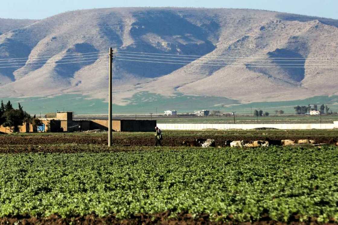 Agriculture was once a pillar of northeast Syria's economy, but years of war and the effects of climate change have dealt a blow to farmers Agriculture was once a pillar of northeast Syria's economy, but years of war and the effects of climate change have dealt a blow to farmers