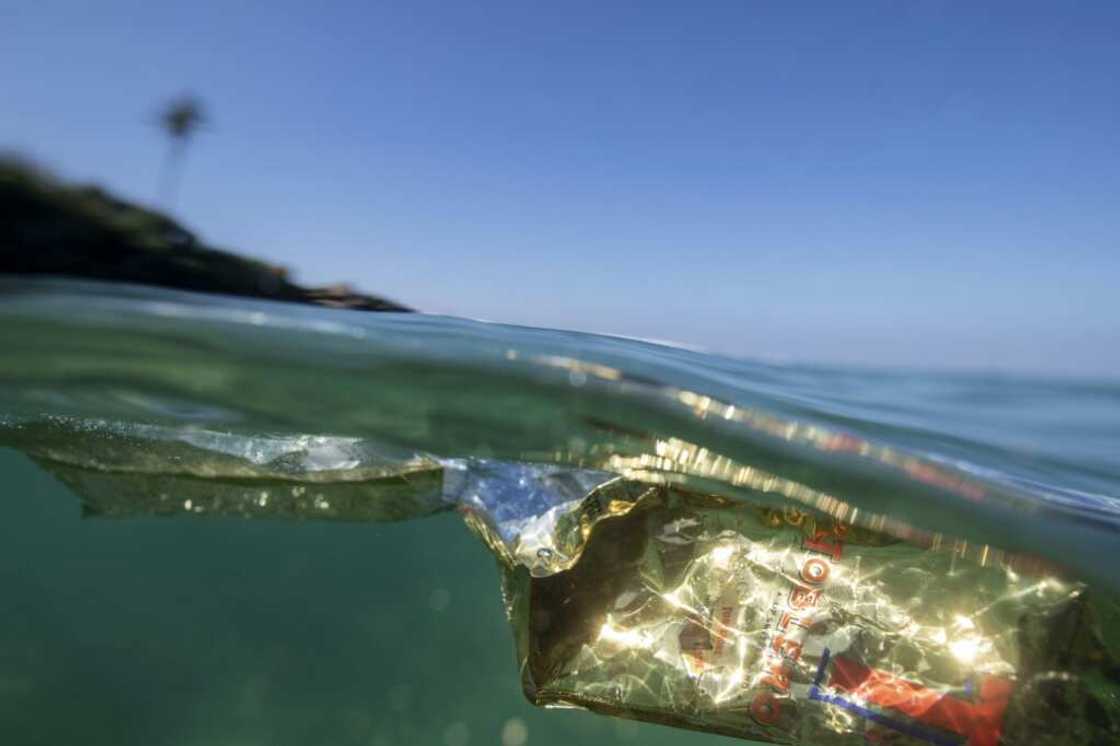 There are an estimated 170 trillion pieces of plastic in the world's oceans today There are an estimated 170 trillion pieces of plastic in the world's oceans today