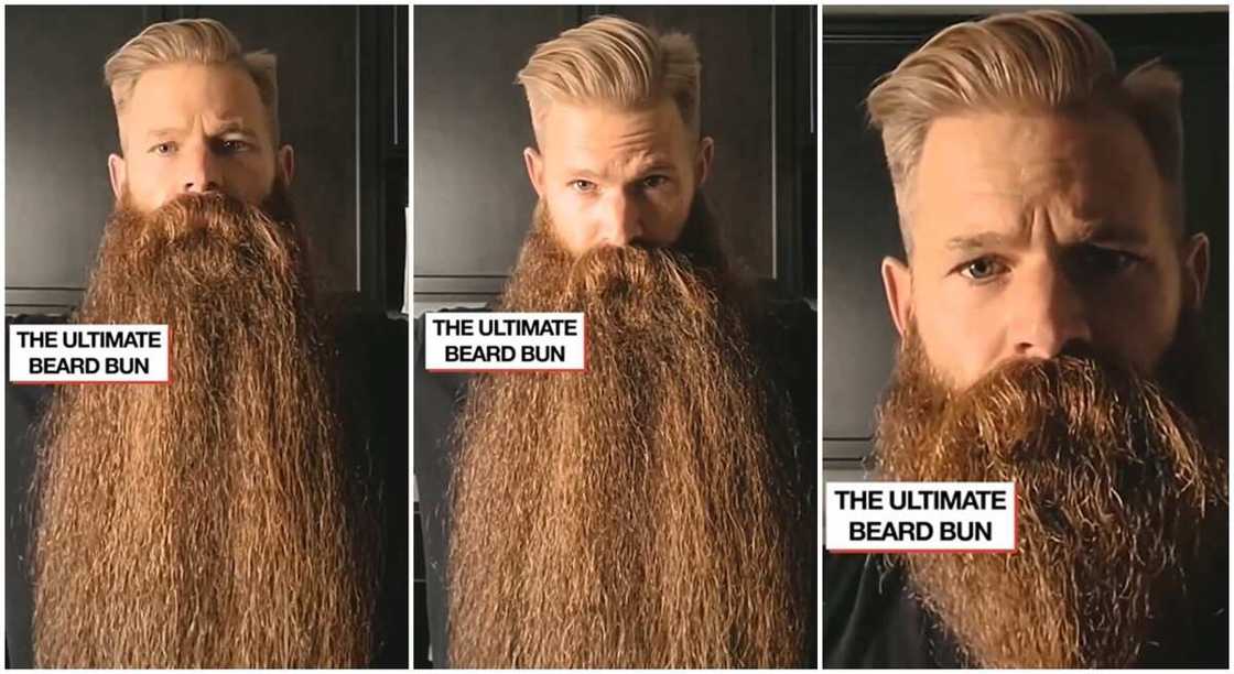 Photos of a man with a long brown beard. Photos of a man with a long brown beard.