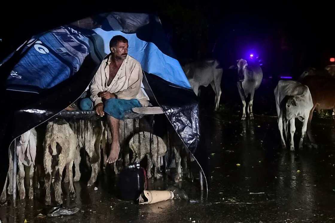 A farmer and his livestock seek shelter from flooded lands alongside the national highway in Khairpur district of Pakistan's Sindh province A farmer and his livestock seek shelter from flooded lands alongside the national highway in Khairpur district of Pakistan's Sindh province