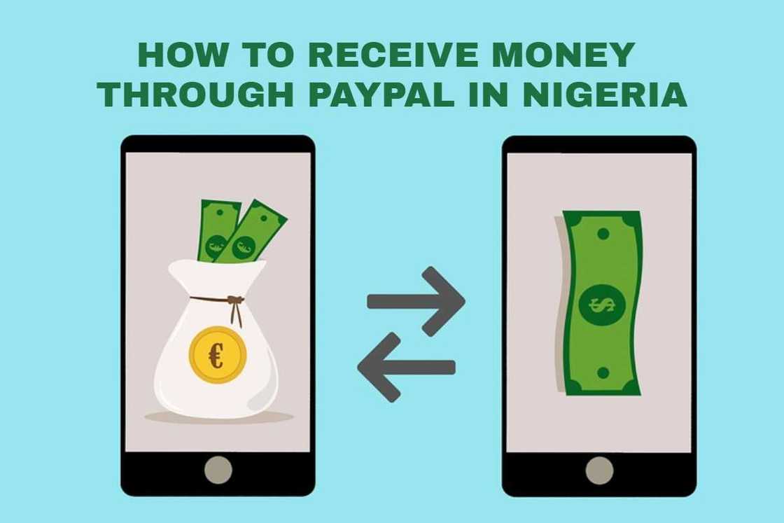 how to receive money with paypal how to receive money with paypal