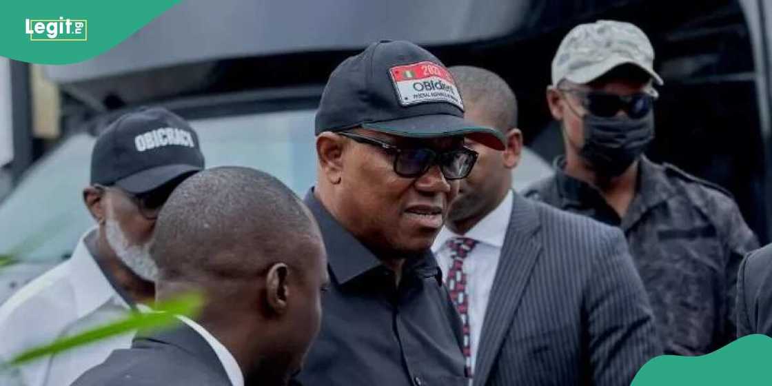 Peter Obi/Peter Obi news/Peter Obi news today Peter Obi/Peter Obi news/Peter Obi news today