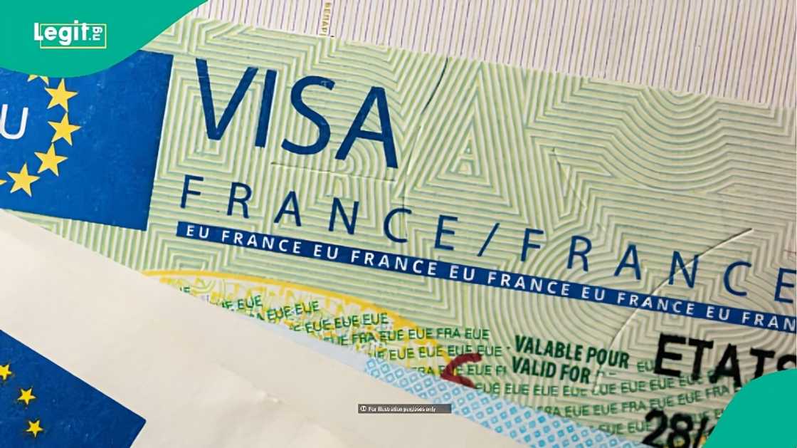 France publishes visa fees for 5 categories, reduces charges for children aged 6 to 12