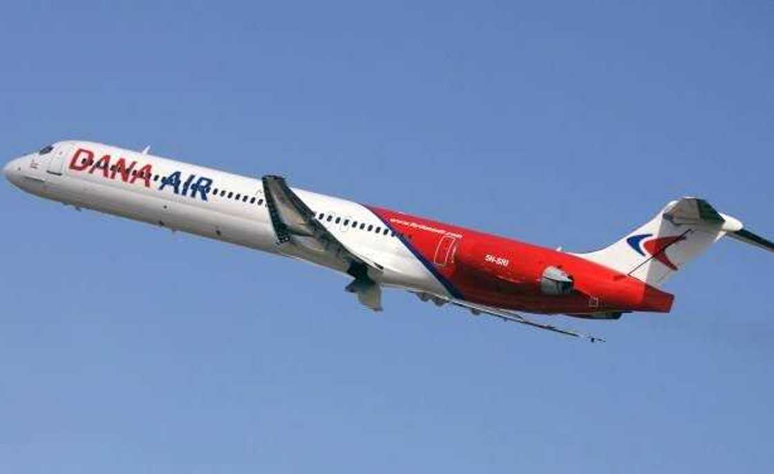 Dana Flight Dana Flight