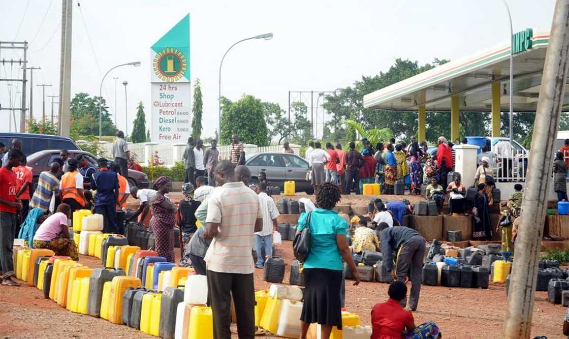 govt promise to end scarcity govt promise to end scarcity
