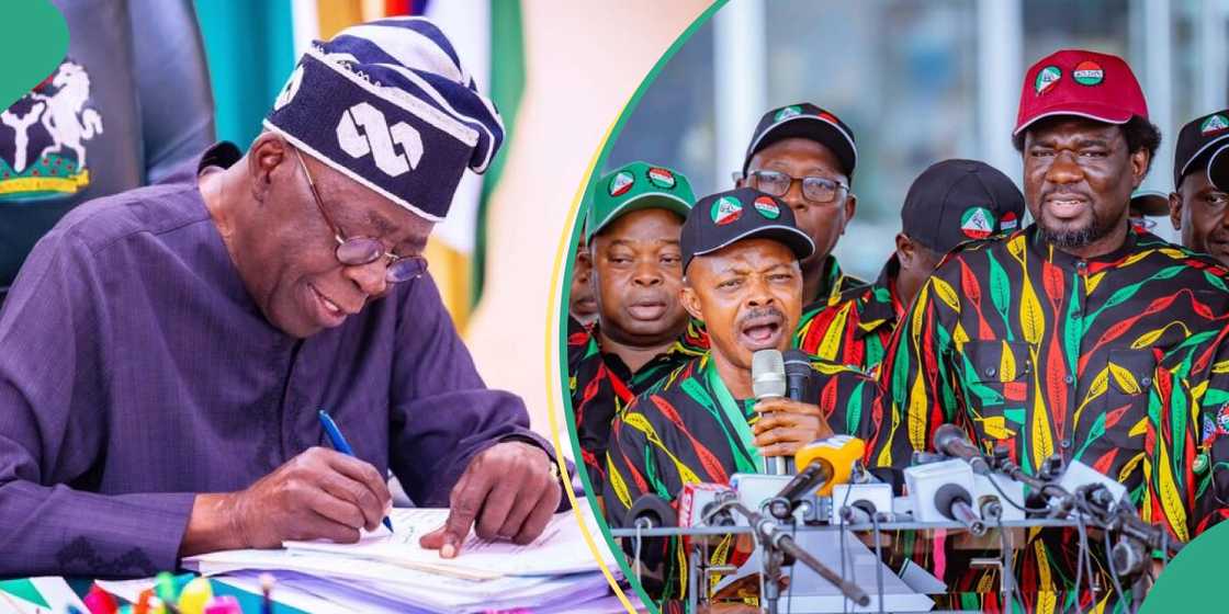 Tinubu may announce new minimum wage amount