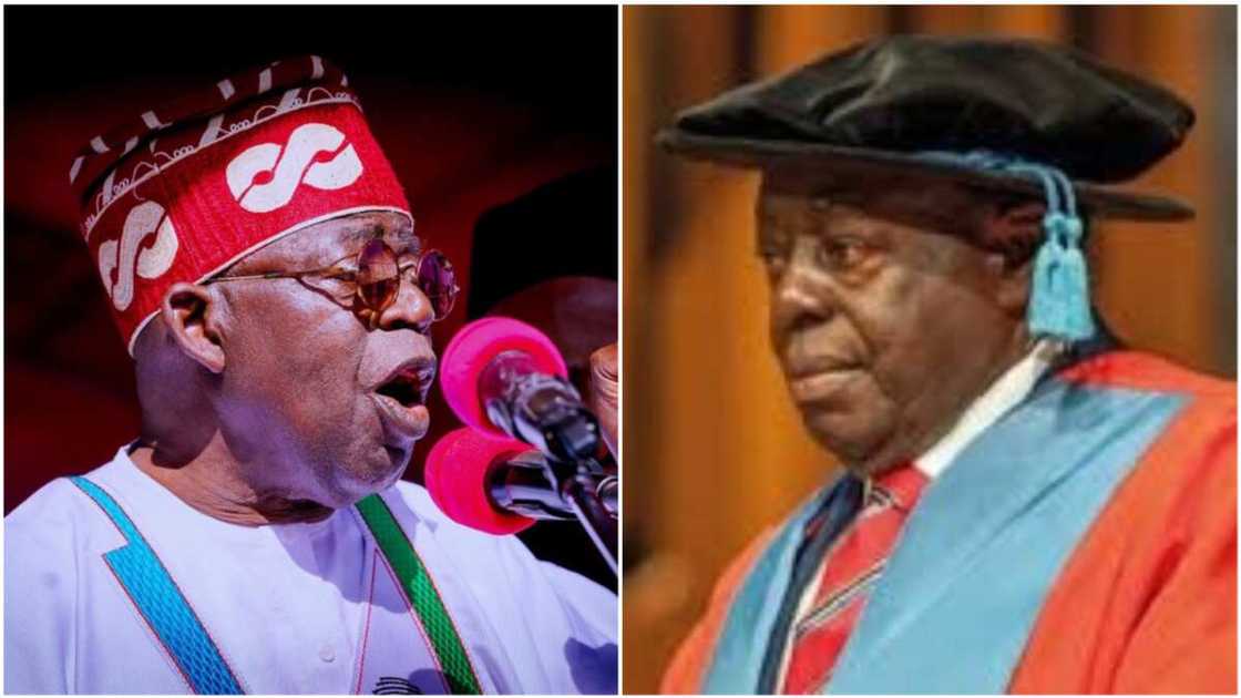 Bola Tinubu/Afe Babalola/APC/Atiku Abubakar/Peter Obi/2023 election