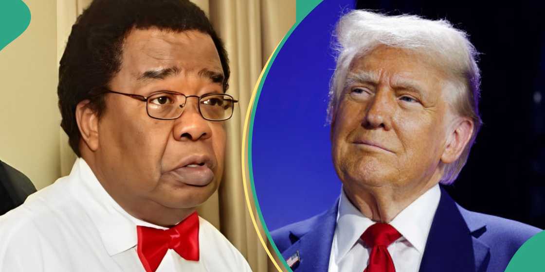 Professor Akinyemi reacts to Trumps emergence as US president Professor Akinyemi reacts to Trumps emergence as US president