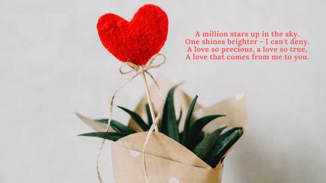 i love you poems i love you poems