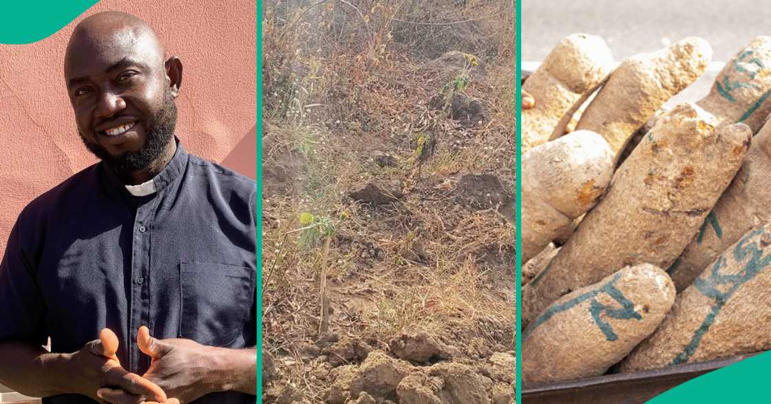 Man heartbroken as he finds out someone else harvested all the yams on his farm