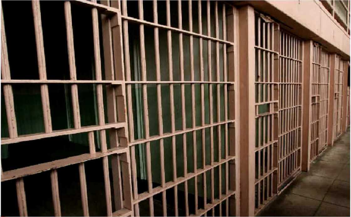 Kotu Ta Ɗaure Wani Ɗalibi a Gidan Yari Saboda Ya Saci Taliya Da Indomi Kotu Ta Ɗaure Wani Ɗalibi a Gidan Yari Saboda Ya Saci Taliya Da Indomi