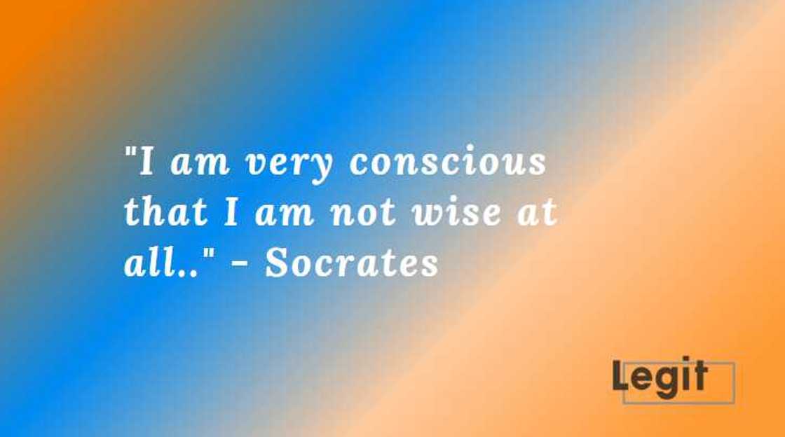 socrates apology quotes socrates apology quotes