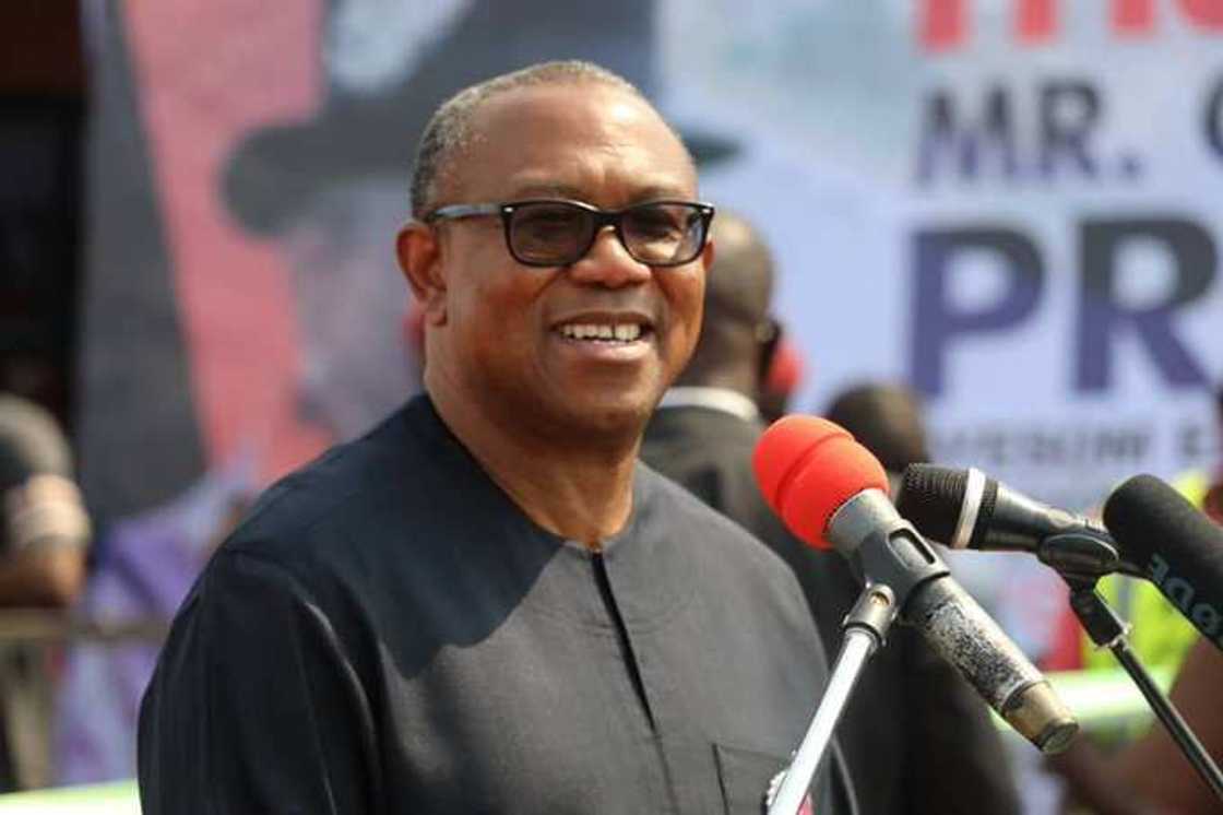 Peter Obi, Labour Party, 2023 presidential election, Ohanaeze Ndigbo, southeast, Igbo presidency