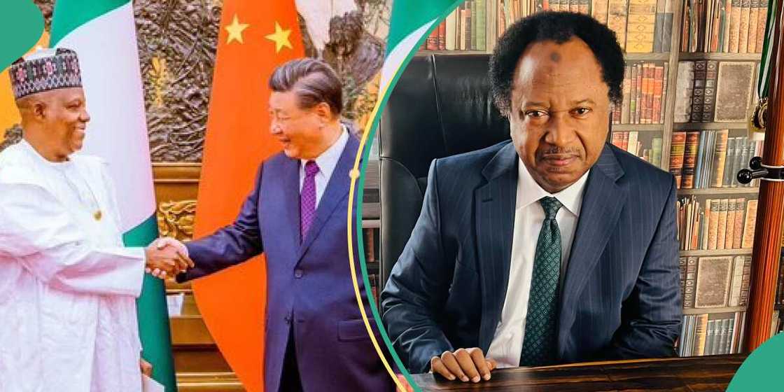 Shehu Sani reacts as Chinese seizes 2 Nigerian Govt properties in UK