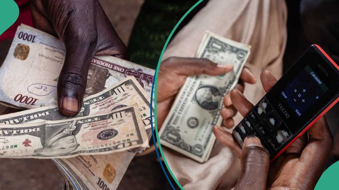 Expert speaks on naira's performance against dollar, pound and euro