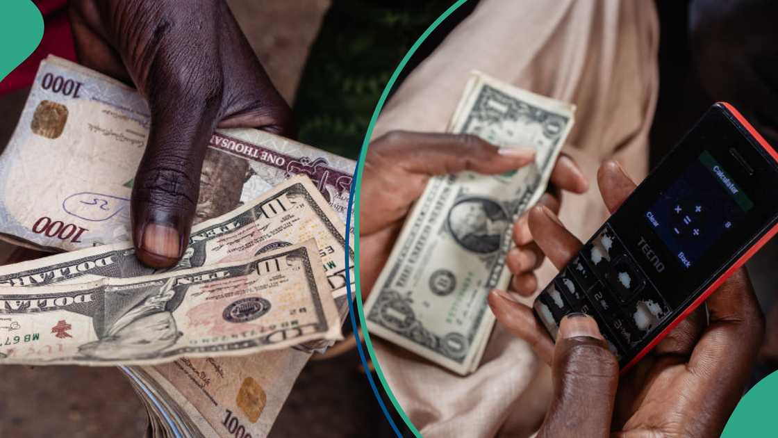 Expert speaks on naira's performance against dollar, pound and euro Expert speaks on naira's performance against dollar, pound and euro