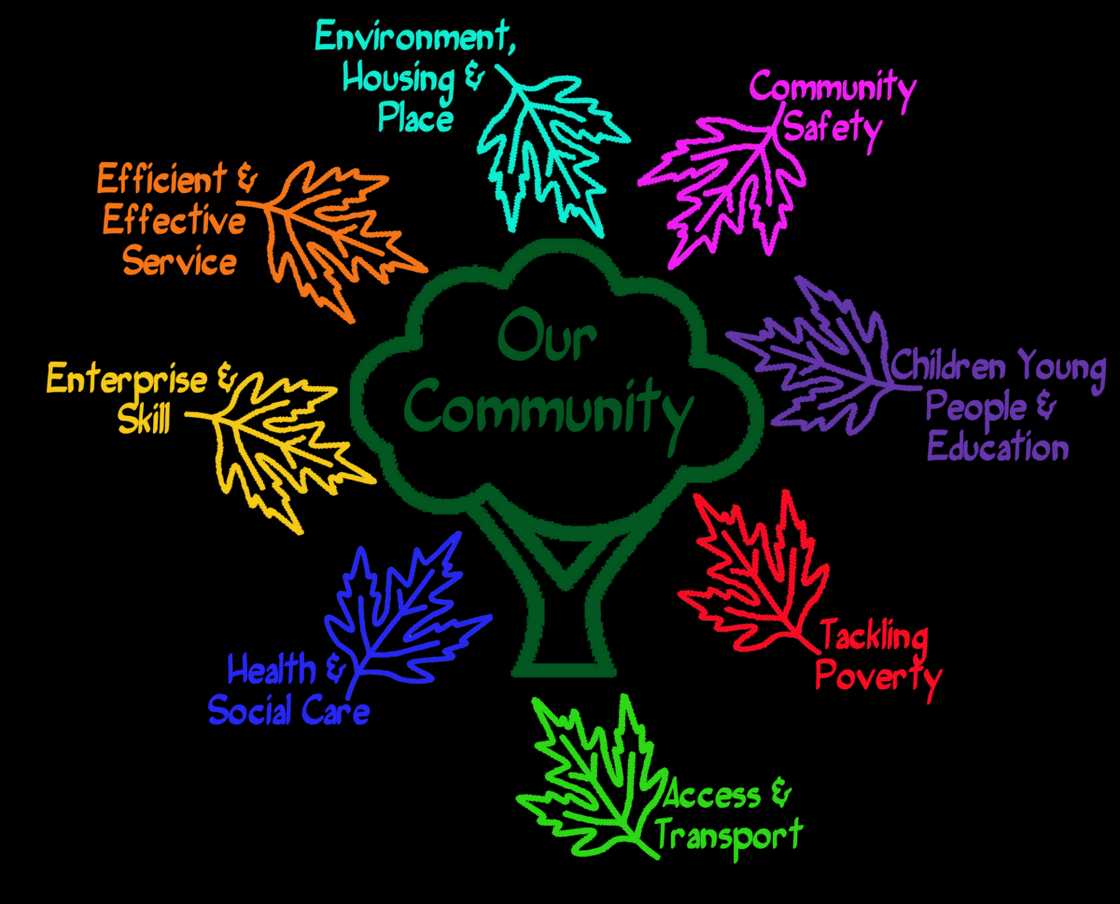 Community development approach