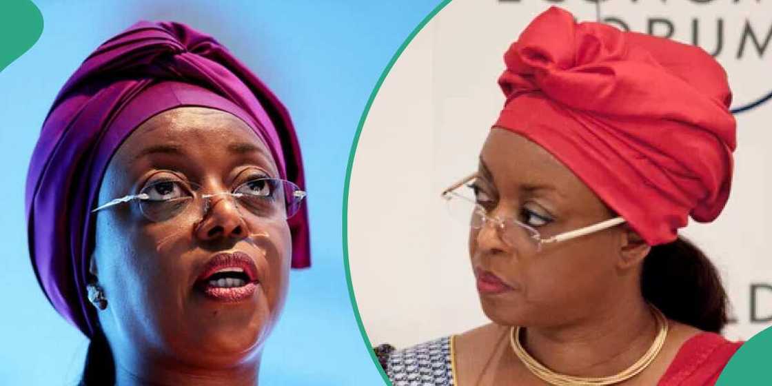 UK Police, the former Minister of Petroleum, Diezani Alison-Madueke UK Police, the former Minister of Petroleum, Diezani Alison-Madueke