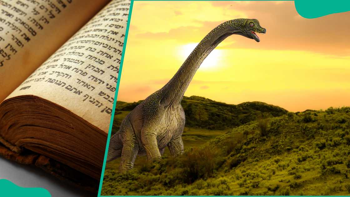 An open bible (L). Artwork of a dinosaur (L)