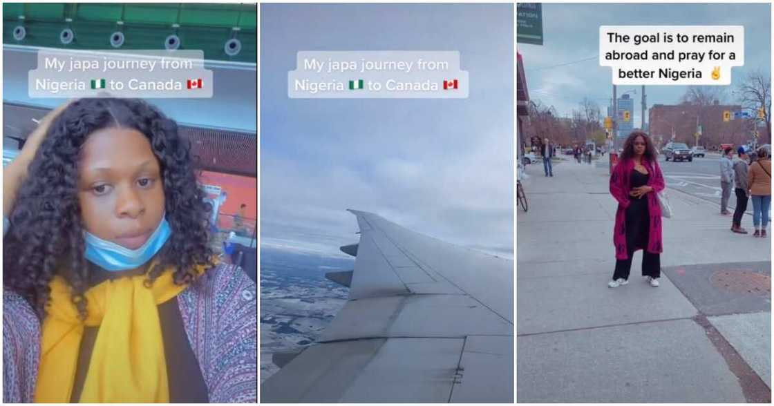 Japa, Canada, Nigeria, lady leaves Nigeria, pray for Nigeria, japa stories Japa, Canada, Nigeria, lady leaves Nigeria, pray for Nigeria, japa stories