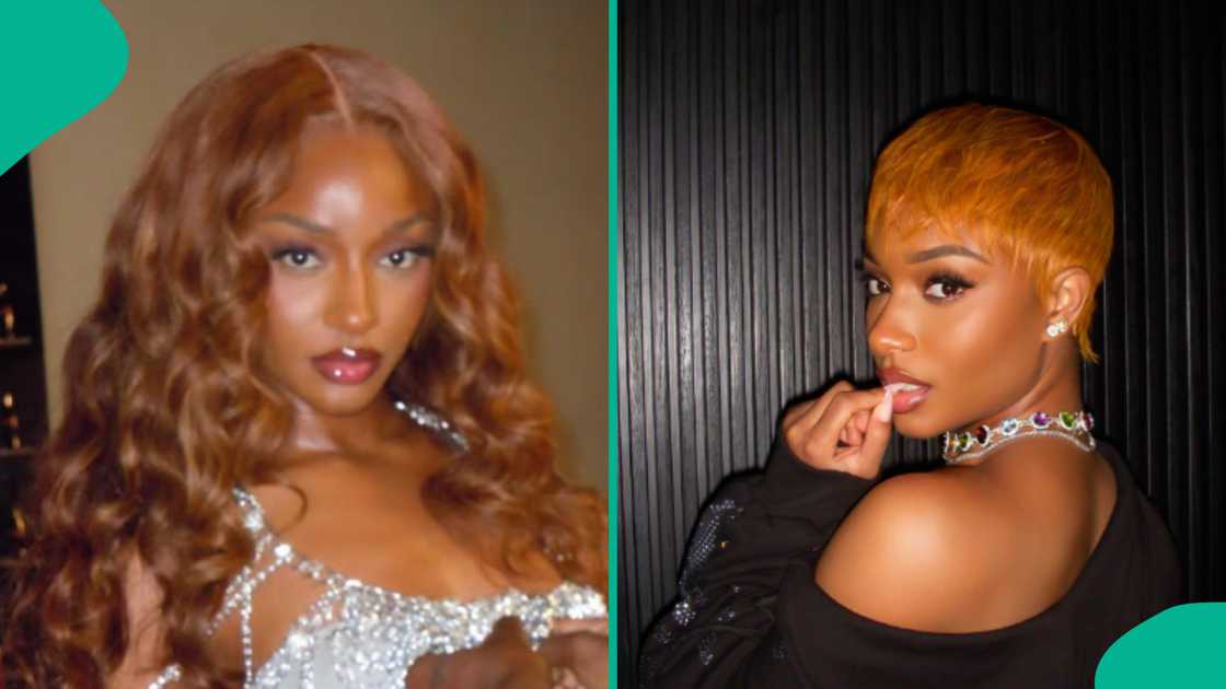 Ayra Starr replies fan who wants to be her pet. Ayra Starr replies fan who wants to be her pet.