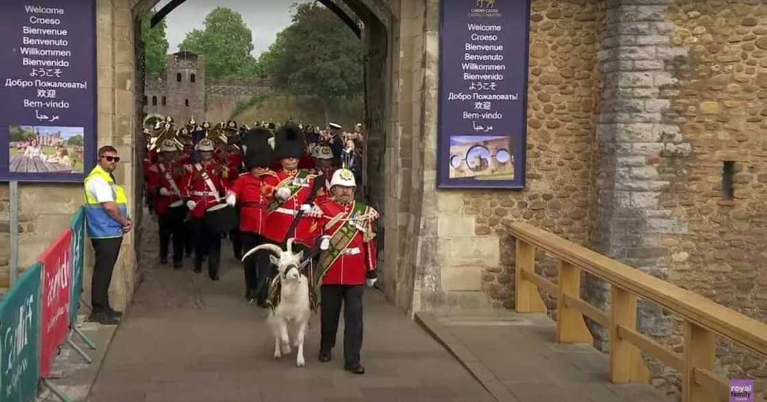 Lance Corporal Shenkin IV/Prince Charles/King of England