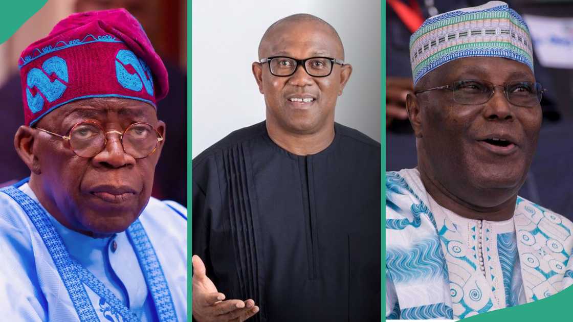 Plan against Tinubu ahead of Tinubu disclosed