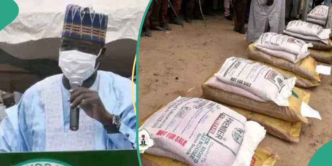 Noma a Borno Noma a Borno