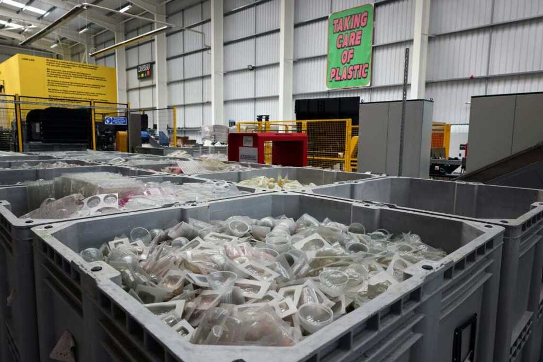 One plank of the environmental plan is not using palm oil or its derivatives One plank of the environmental plan is not using palm oil or its derivatives