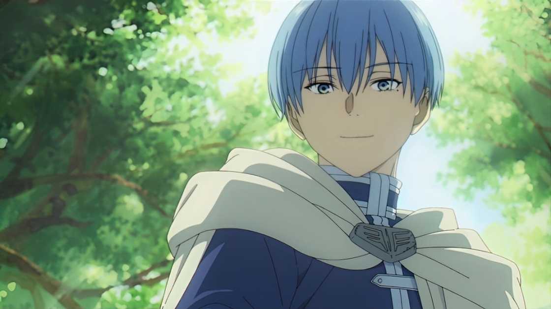 An animated illustration of Himmel in Frieren. An animated illustration of Himmel in Frieren.