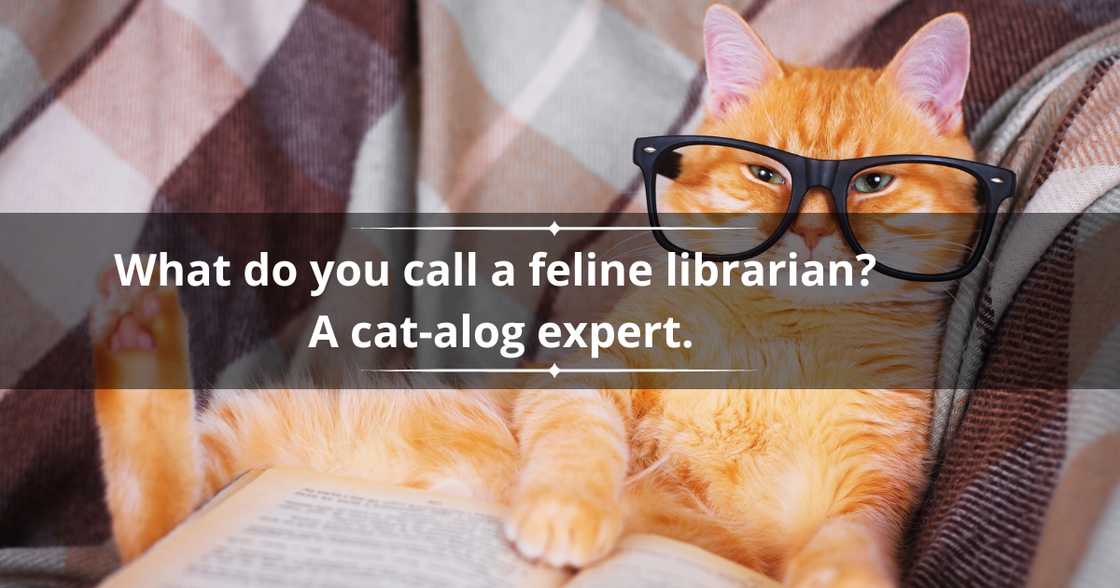 Book puns for kids Book puns for kids