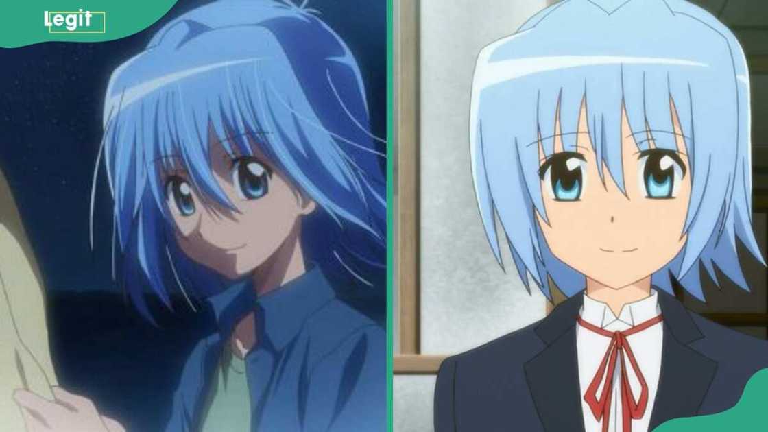 Hayate Ayasaki from Combat Butler