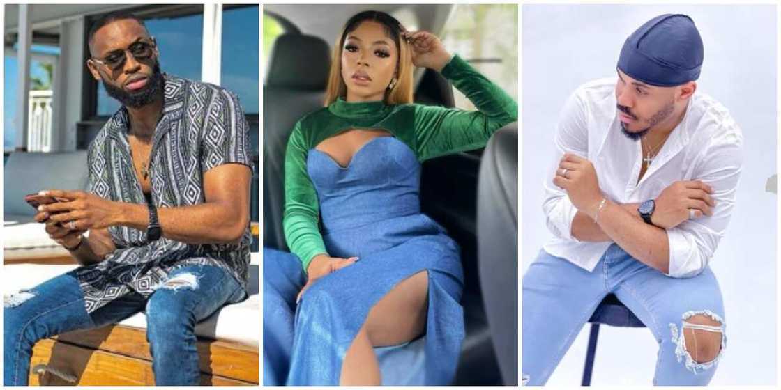 Photos of Liquorose and Ozo. Photos of Liquorose and Ozo.