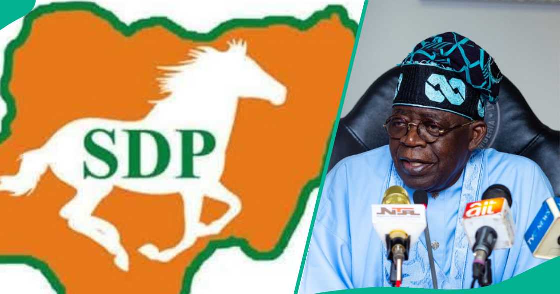 SDP da Tinubu. SDP da Tinubu.