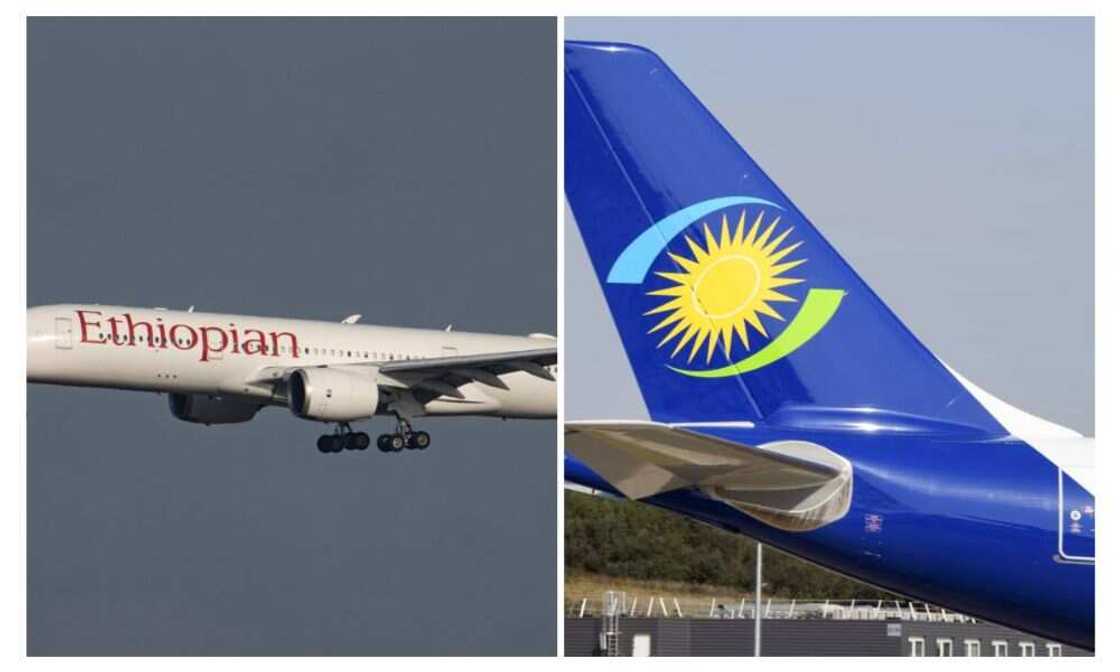 Nigeria Air, IATA, Africa Nigeria Air, IATA, Africa