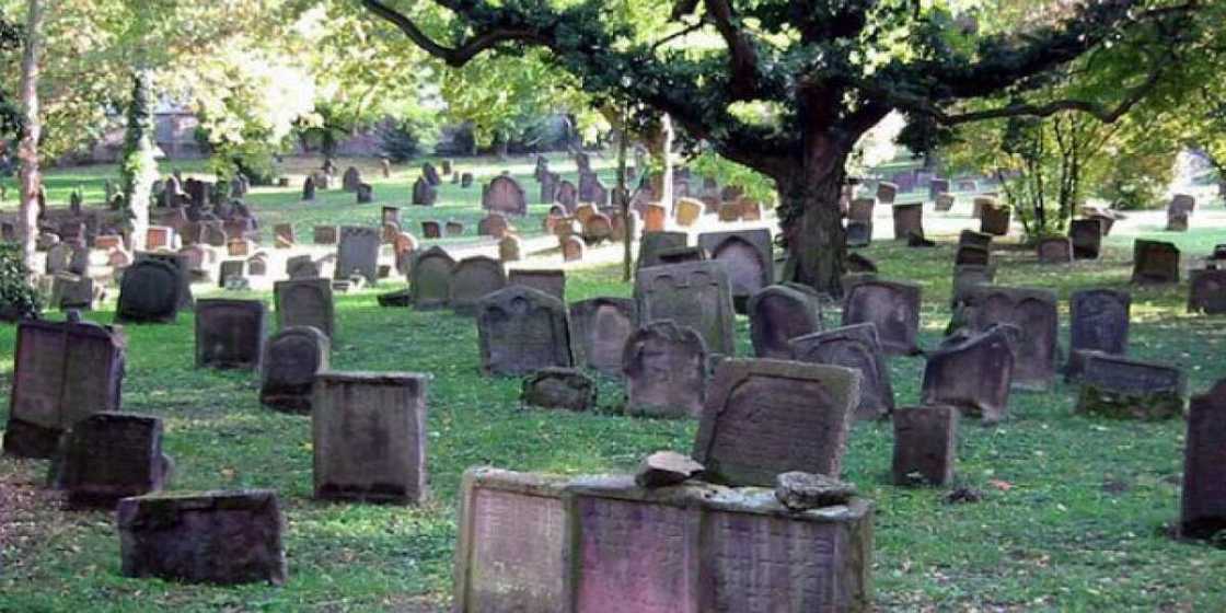 Filato: Masu hakar kabari sun koka a kan yawan mace-mace Filato: Masu hakar kabari sun koka a kan yawan mace-mace